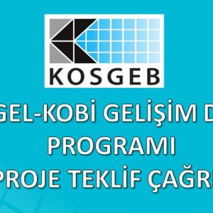 'KOBİ DESTEK GELİŞİM PROGRAMI